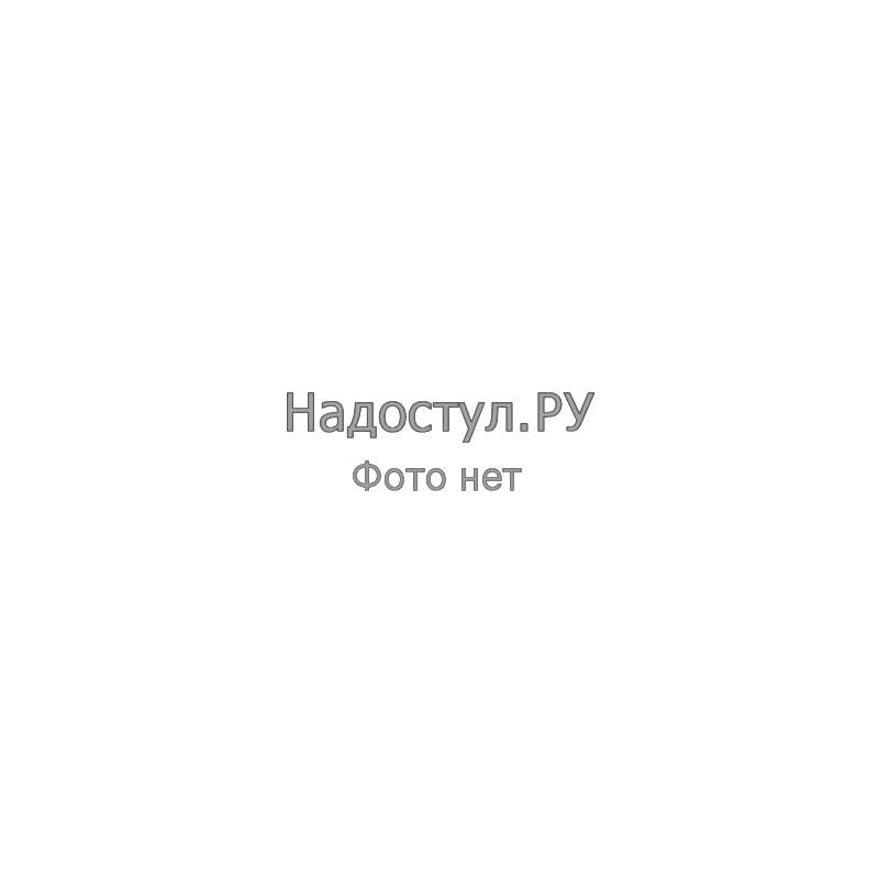 Стул для столовых, кафе, дома РС23, серебристый каркас, экокожа черная главное фото
